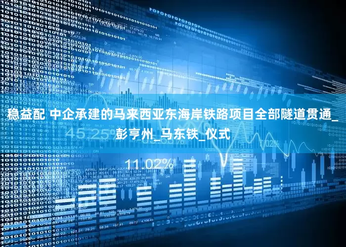 稳益配 中企承建的马来西亚东海岸铁路项目全部隧道贯通_彭亨州_马东铁_仪式