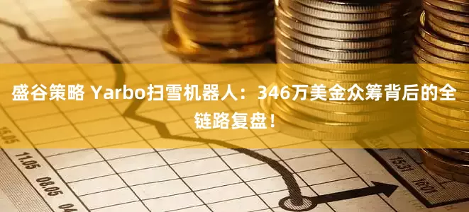 盛谷策略 Yarbo扫雪机器人：346万美金众筹背后的全链路复盘！