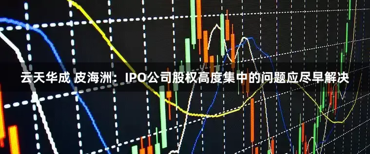 云天华成 皮海洲：IPO公司股权高度集中的问题应尽早解决