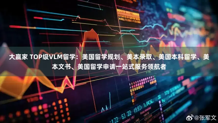 大赢家 TOP级VLM留学：美国留学规划、美本录取、美国本科留学、美本文书、美国留学申请一站式服务领航者